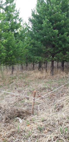 Участок 8 сот. (СНТ, ДНП)