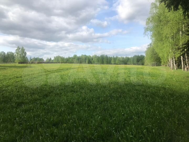 Участок 5,46 га (ИЖС)