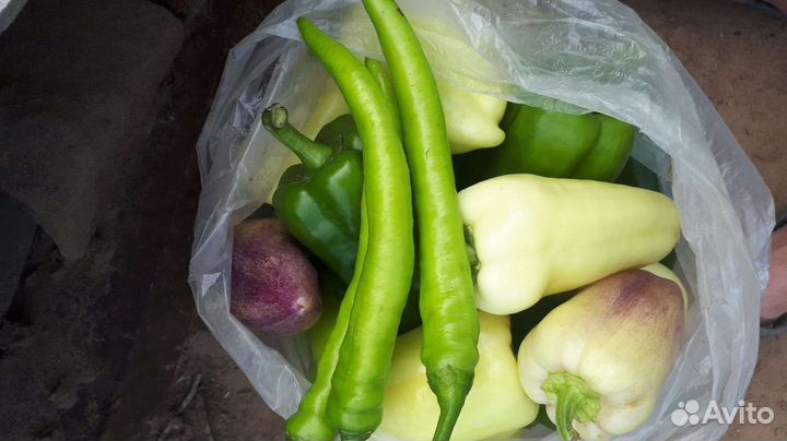 Продаём огурчики,помидоры,перец,зелень