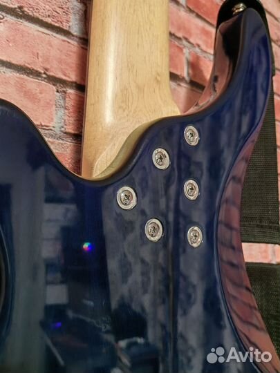 6 струнная бас гитара