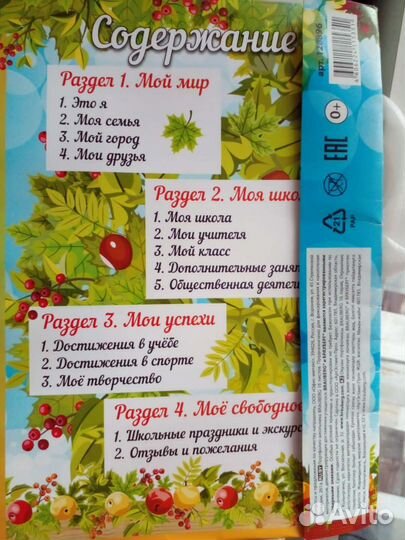 Портфолио школьника