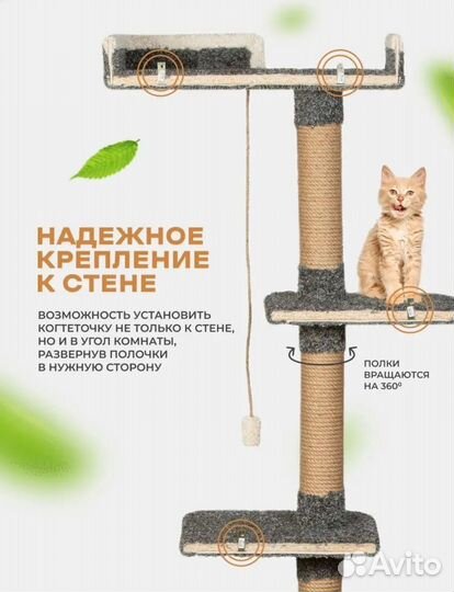 Когтеточка для кошек новая