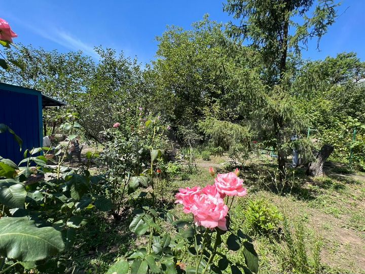 Участок 6,3 сот. (ИЖС)