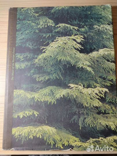 Мелодии русского леса фотоальбом