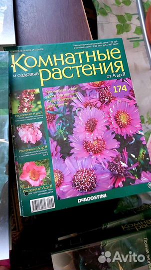 Журналы комнатные растения