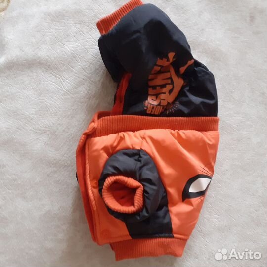 Одежда для маленьких собак