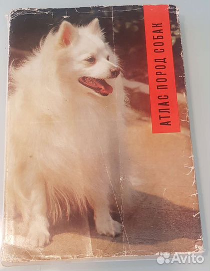 Атлас пород собак