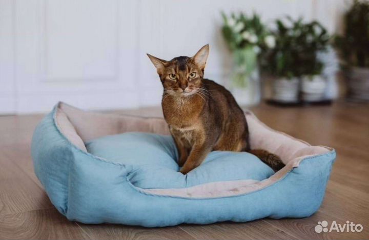 Лежанка для собак и кошек новая