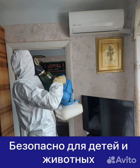 Уничтожение тараканов и клопов