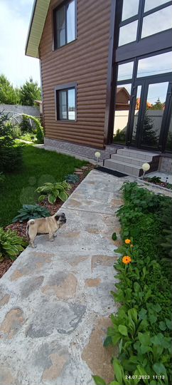 Дом 167,5 м² на участке 12,5 сот.