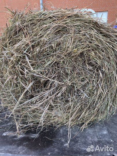 Сено в рулонах с доставкой
