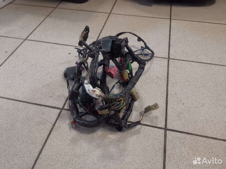 Жгут проводов Honda CBR 600 f3