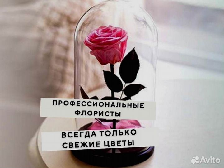 Вечная роза в колбе