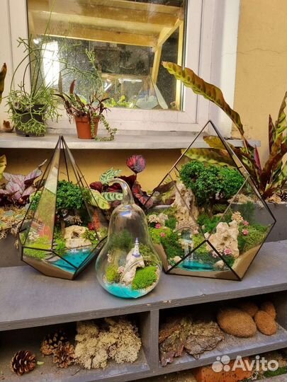 Флорариумы моссариумы без ухода