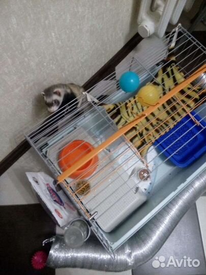 Клетка для хорька бу