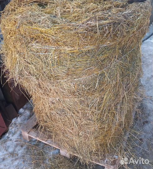Сено в тюках