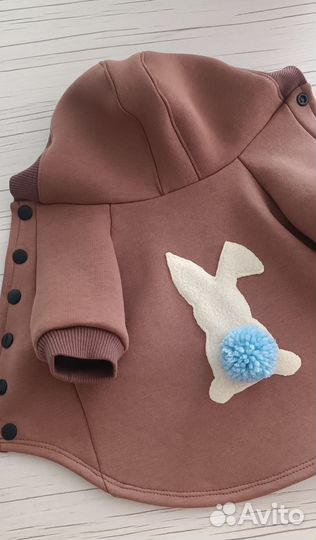 Одежда для собак