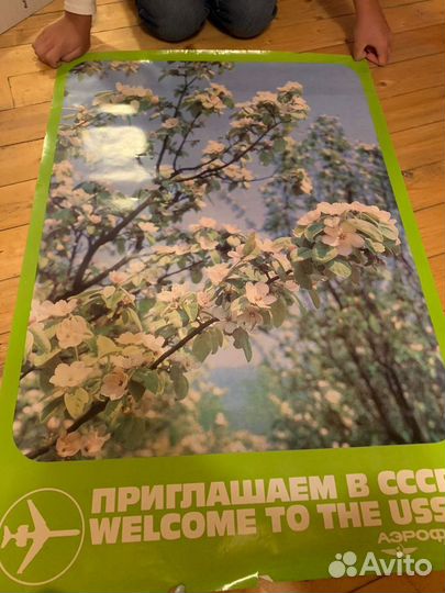 Редкие коллекционные плакаты Аэрофлот