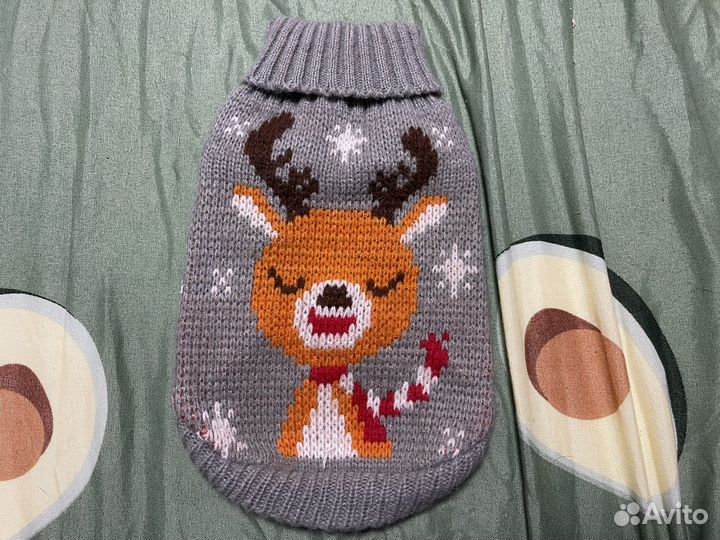 Одежда для собак