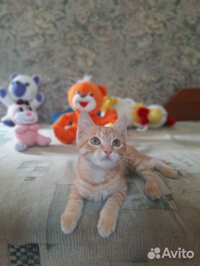 Ищу любящую и добрую маму