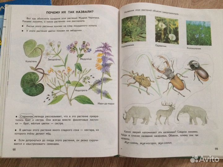 Познавательная книга для детей «Мир вокруг вас»