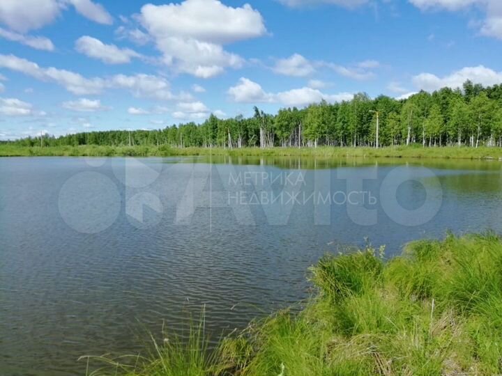 Участок 14,6 сот. (ИЖС)