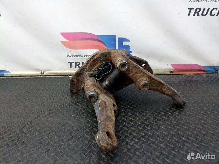 Кулак поворотный левый Iveco Stralis