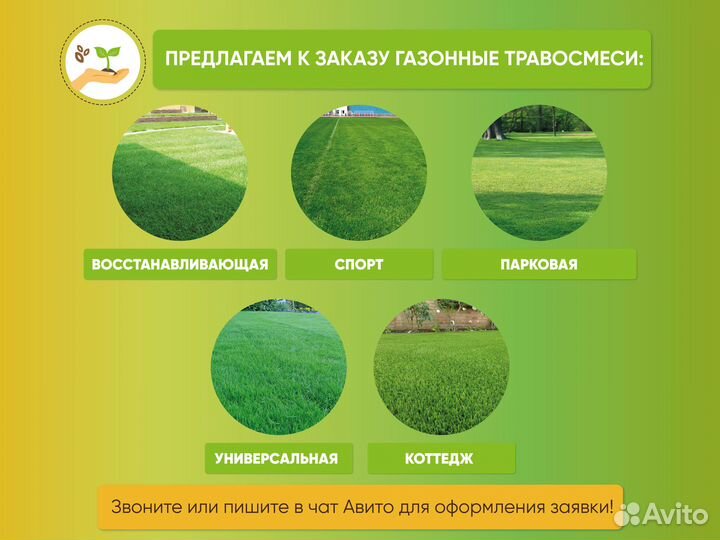 Семена люцерны