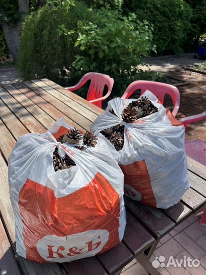 Шишки сосновые