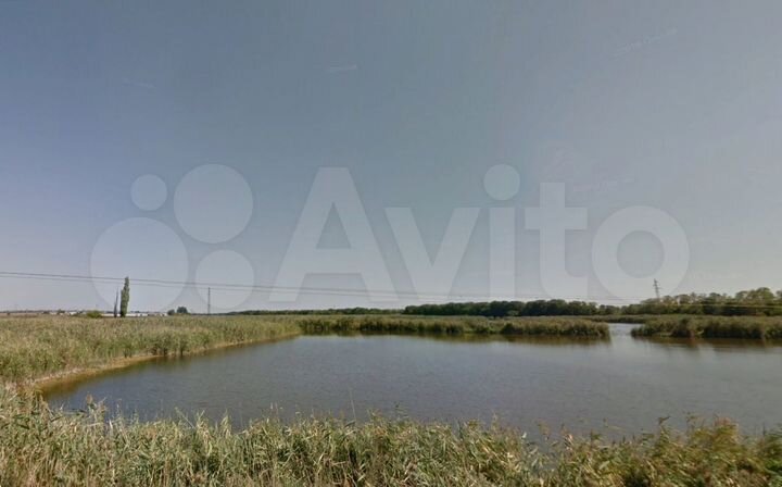 Участок 49 га (СНТ, ДНП)