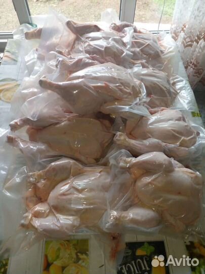 Мясо домашнего бройлера