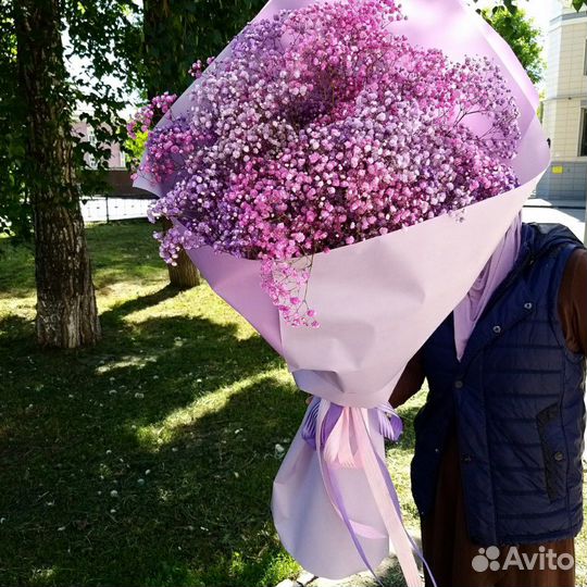 Гипсофила букет гигант