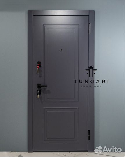 Входная дверь 1 Порту