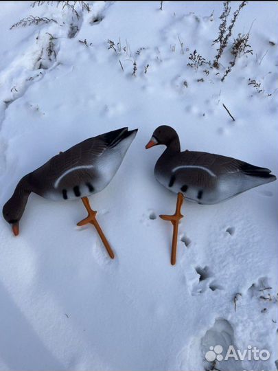 Чучела гусей 15 штук