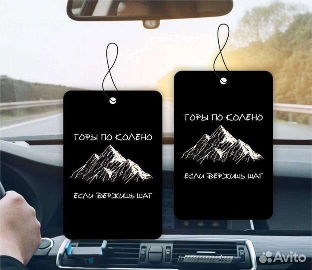 Вонючка в машину