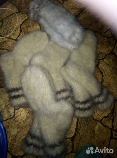 Собачьи носки