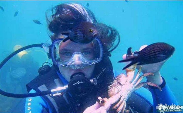 Дайвинг, погружением в открытом море