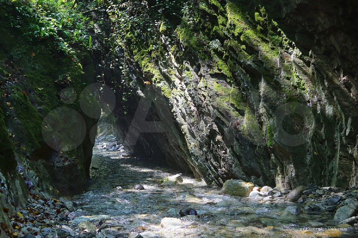 Участок 12 сот. (ИЖС)