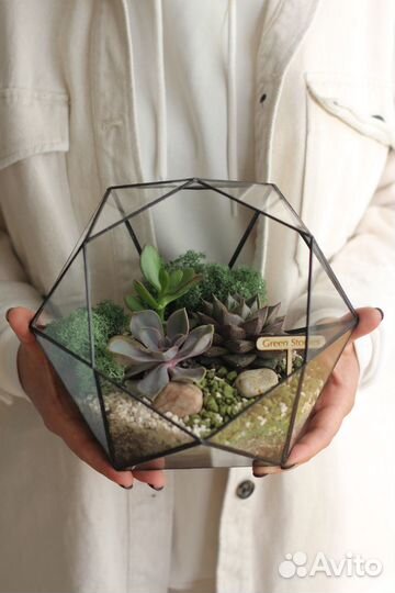 Флорариум 