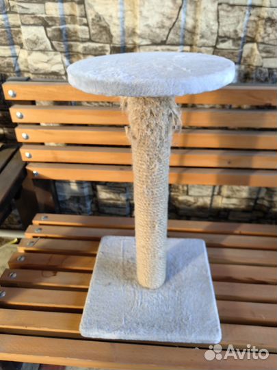 Когтеточка