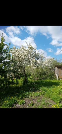 Дача 20 м² на участке 4,6 сот.