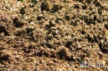 Конский навоз