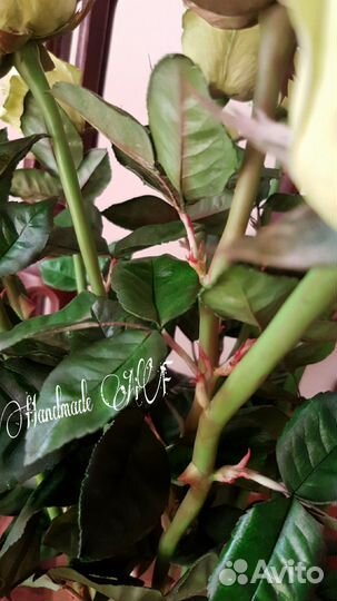 Вайнер молд листа розы от Ольги Щербаковой