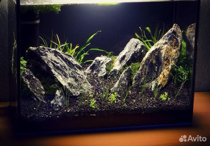 Аквариумный грунт габбро-диабаз