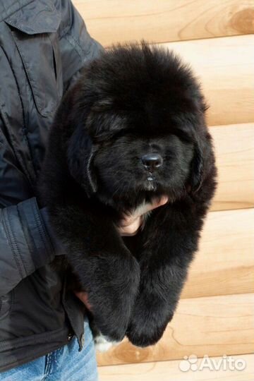 Супер мальчуган