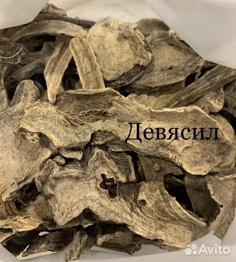 Корень кровохлебки, кукольника