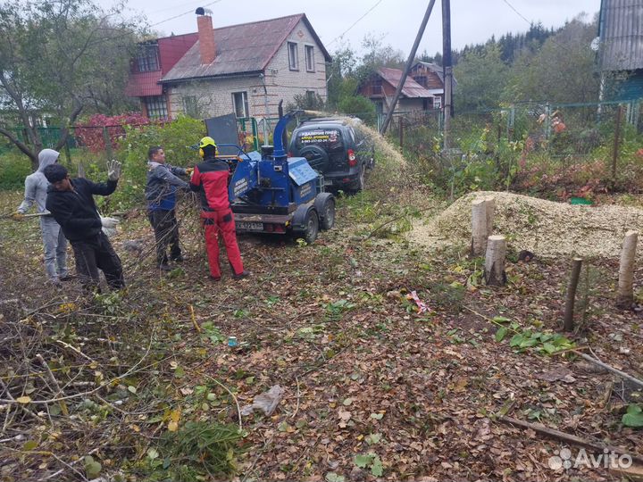 Расчистка участка
