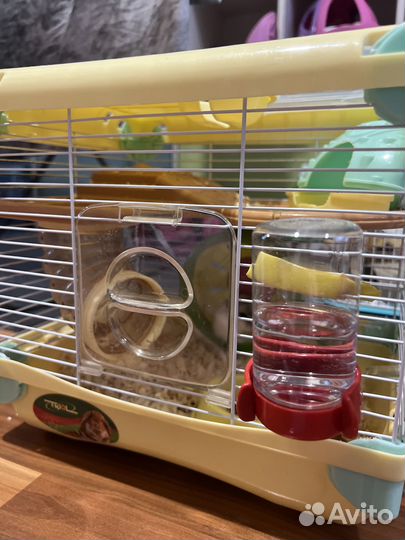 Джунгарский хомяк с клеткой