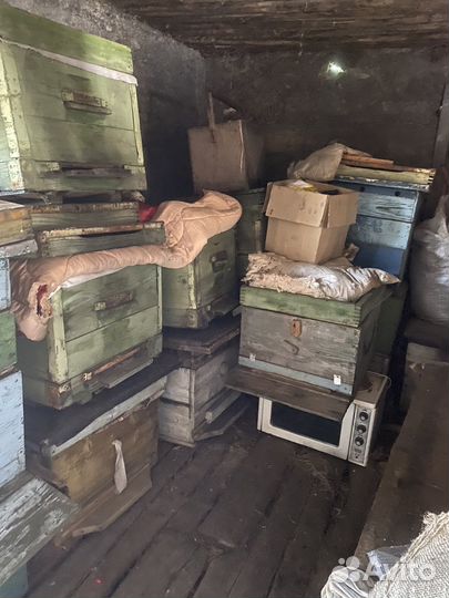 Пчелиные ульи