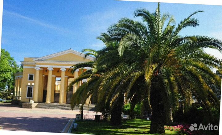 Путешествие льготное Sochi пенсионерам